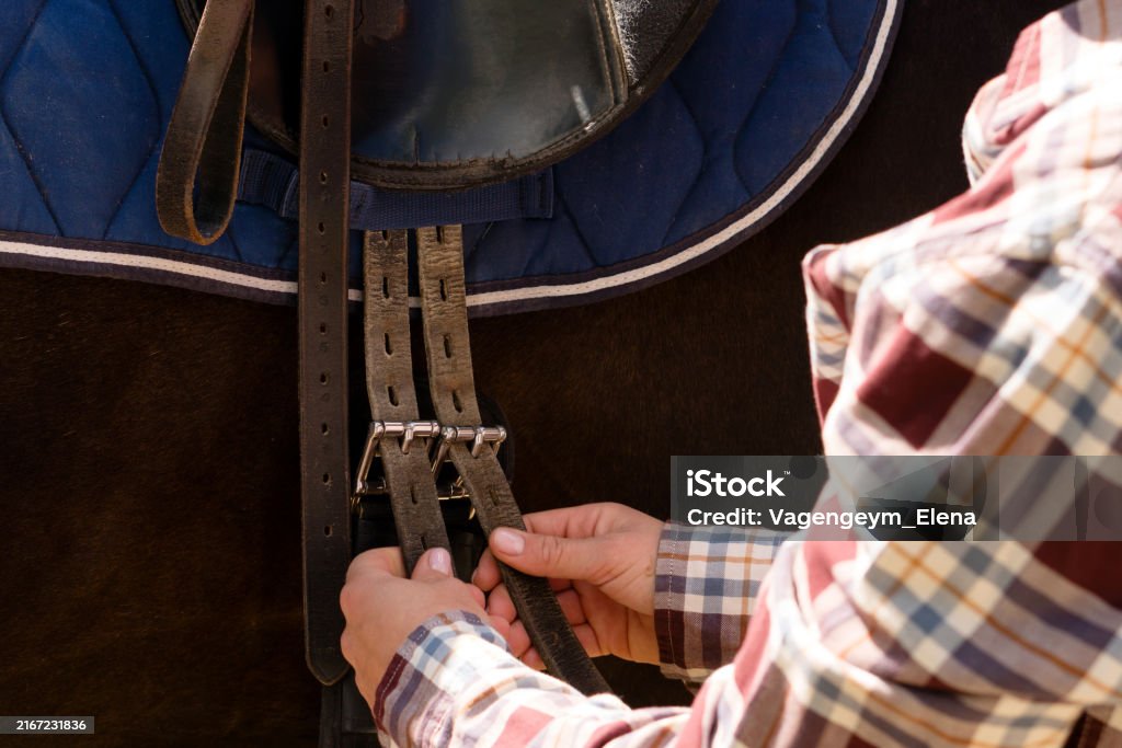 Mon cheval se blesse à la sangle : que faire ?