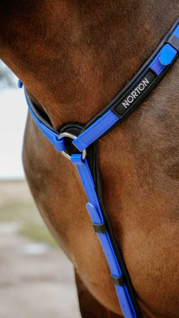 Collier de chasse Endurance NORTON - Pop