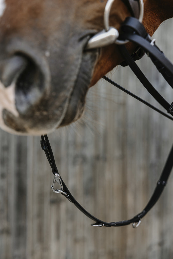 NORTON PRO-Schulung – Thiedeman