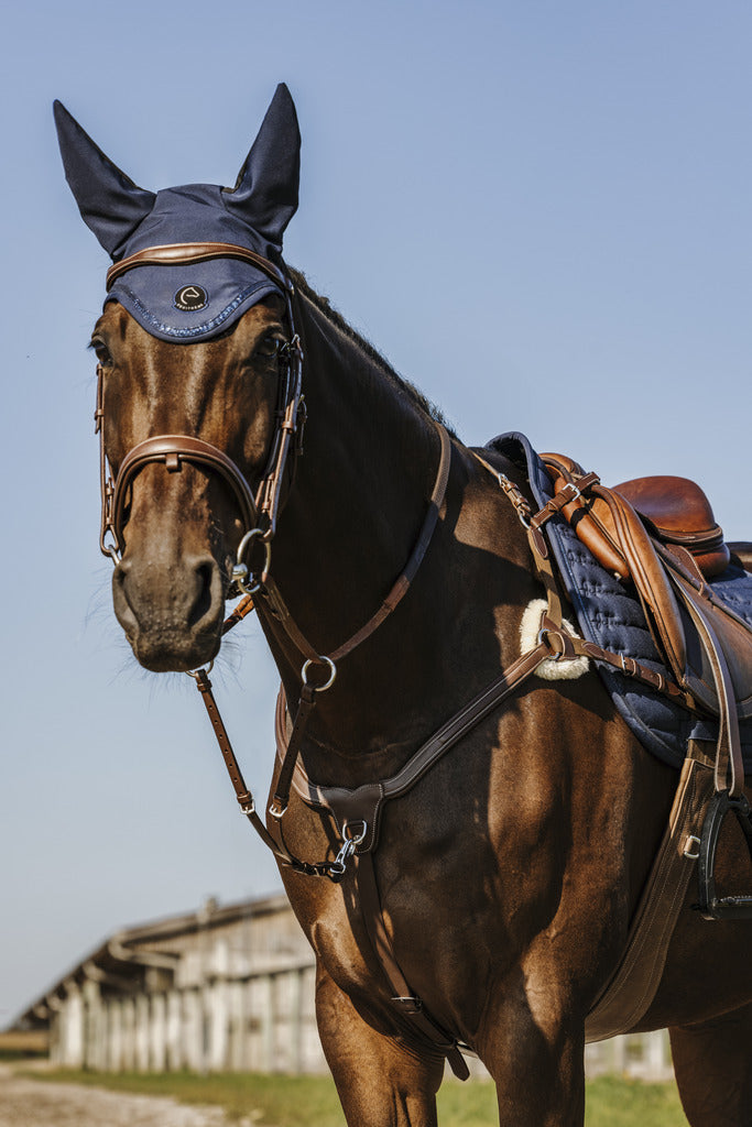 NORTON PRO Jagdhalsband - 5 Punkte