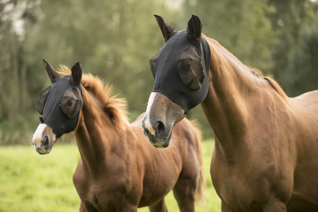 LAMI-CELL Lycra-Fliegenmaske