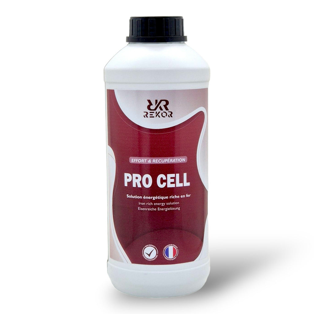 Pro Cell REKOR-ZUSTAND