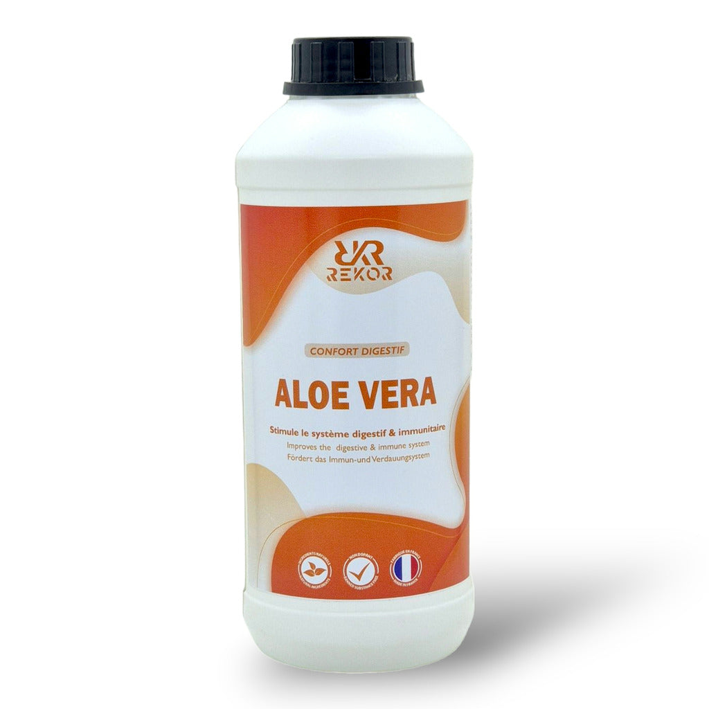 REKOR „Aloe Vera“ Saft 1L Ergänzungsnahrung
