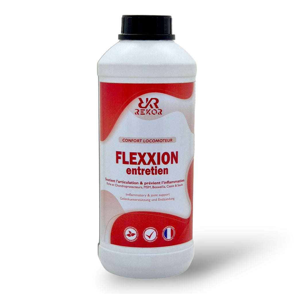 Flexxion-Wartungslösung Rekor