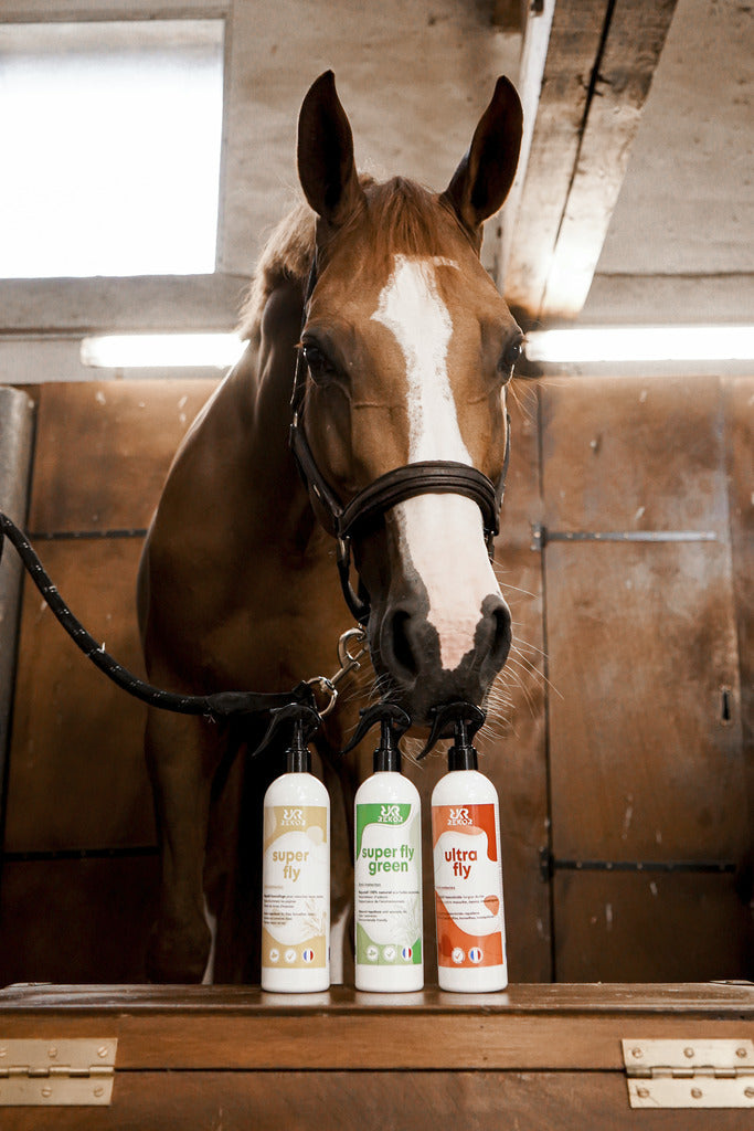 Superfly grün Rekor