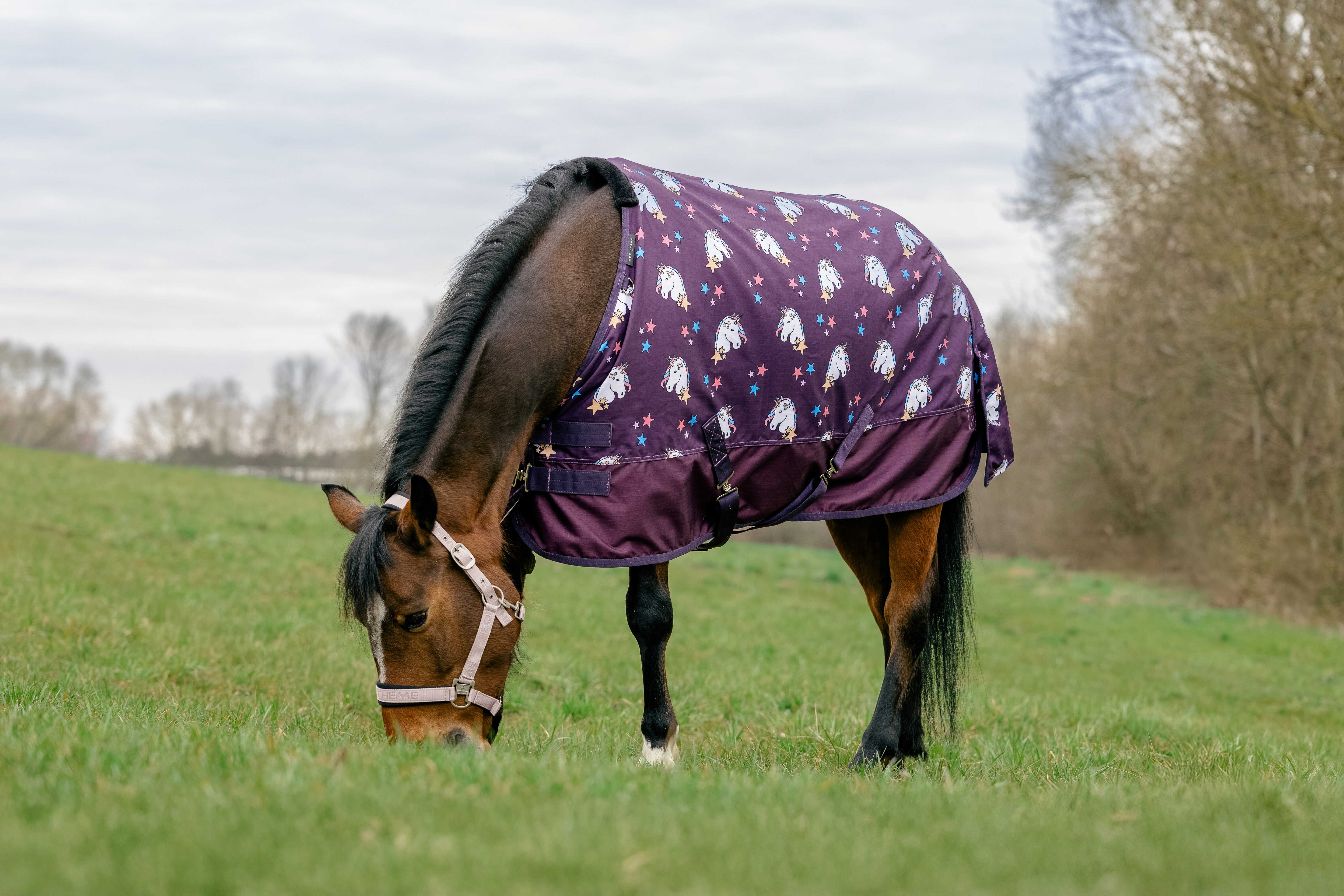 Couverture Poney EQUITHÈME - Licorne 600D