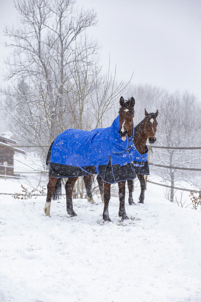 Couverture EQUITHÈME TYREX 1200D "Aisance" High Neck