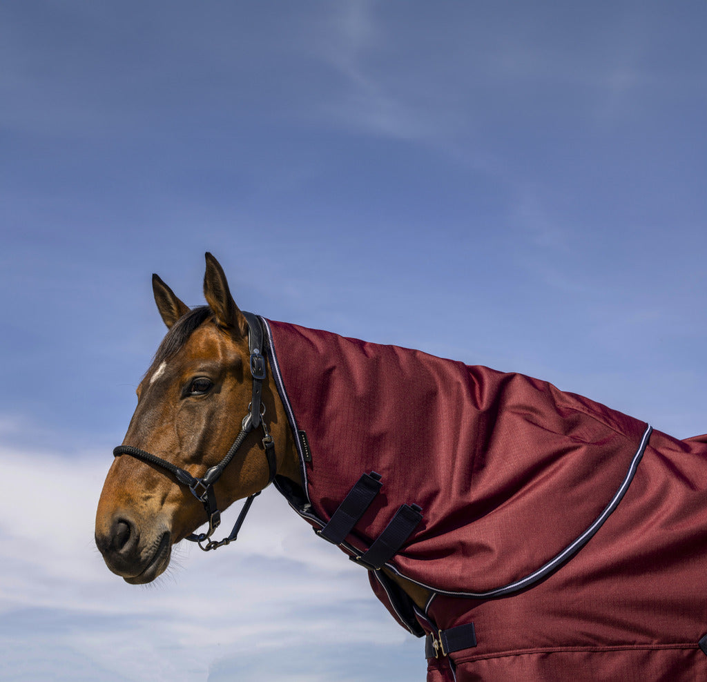 Couvre-cou Equitheme TYREX 1200 D