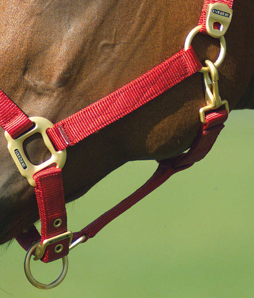 Licol EQUITHÈME - Nylon