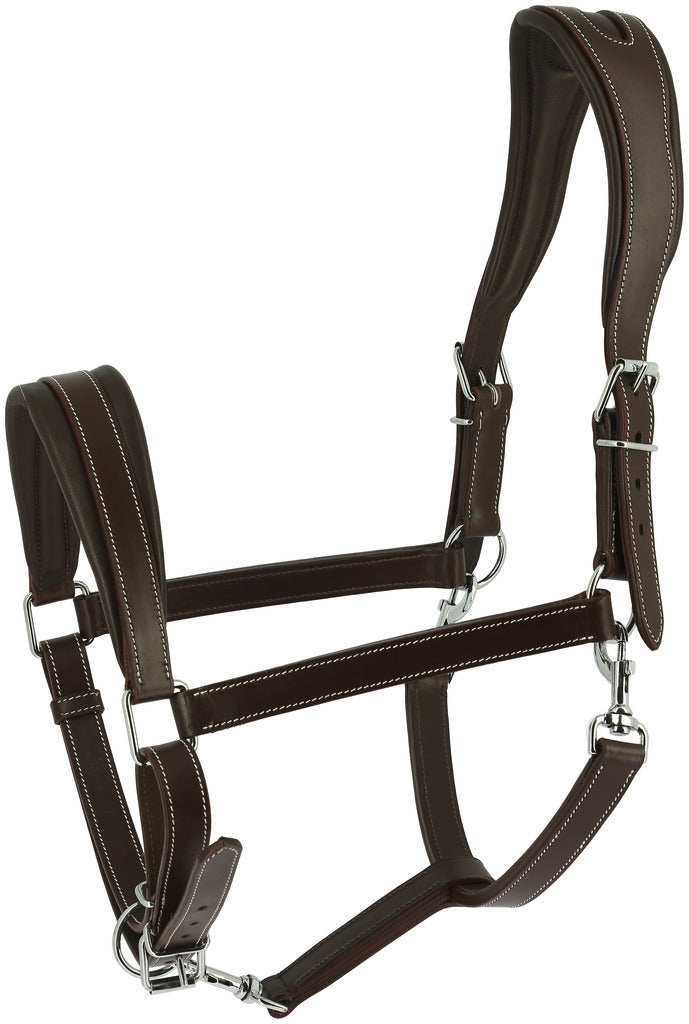 NORTON Halfter - Ardennen