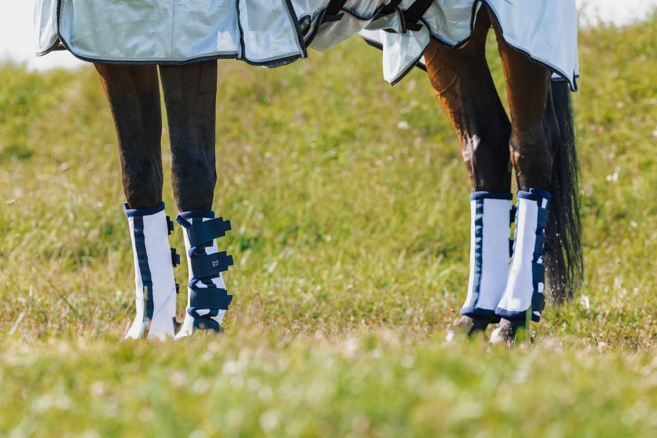 RIDING WORLD Fliegengamaschen x 4