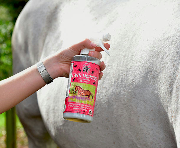 Marshals Fliegenabwehr