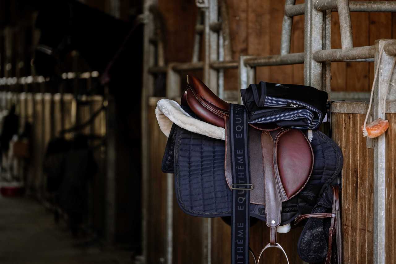 Chauffe-dos EQUITHÈME Heated