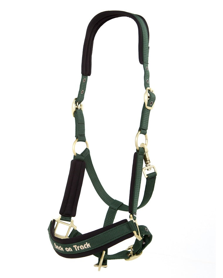 Werano Back on Track Halfter