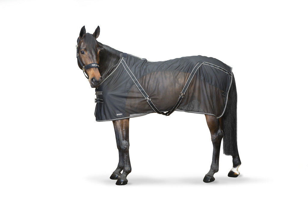 BACK ON TRACK Shirt - Sienna