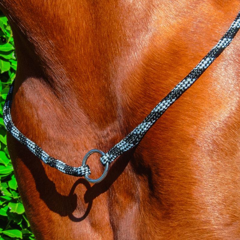 Lot Tête (Coiffe, Rênes, Collier) Western Horse Show – Cuir Marron/Argent