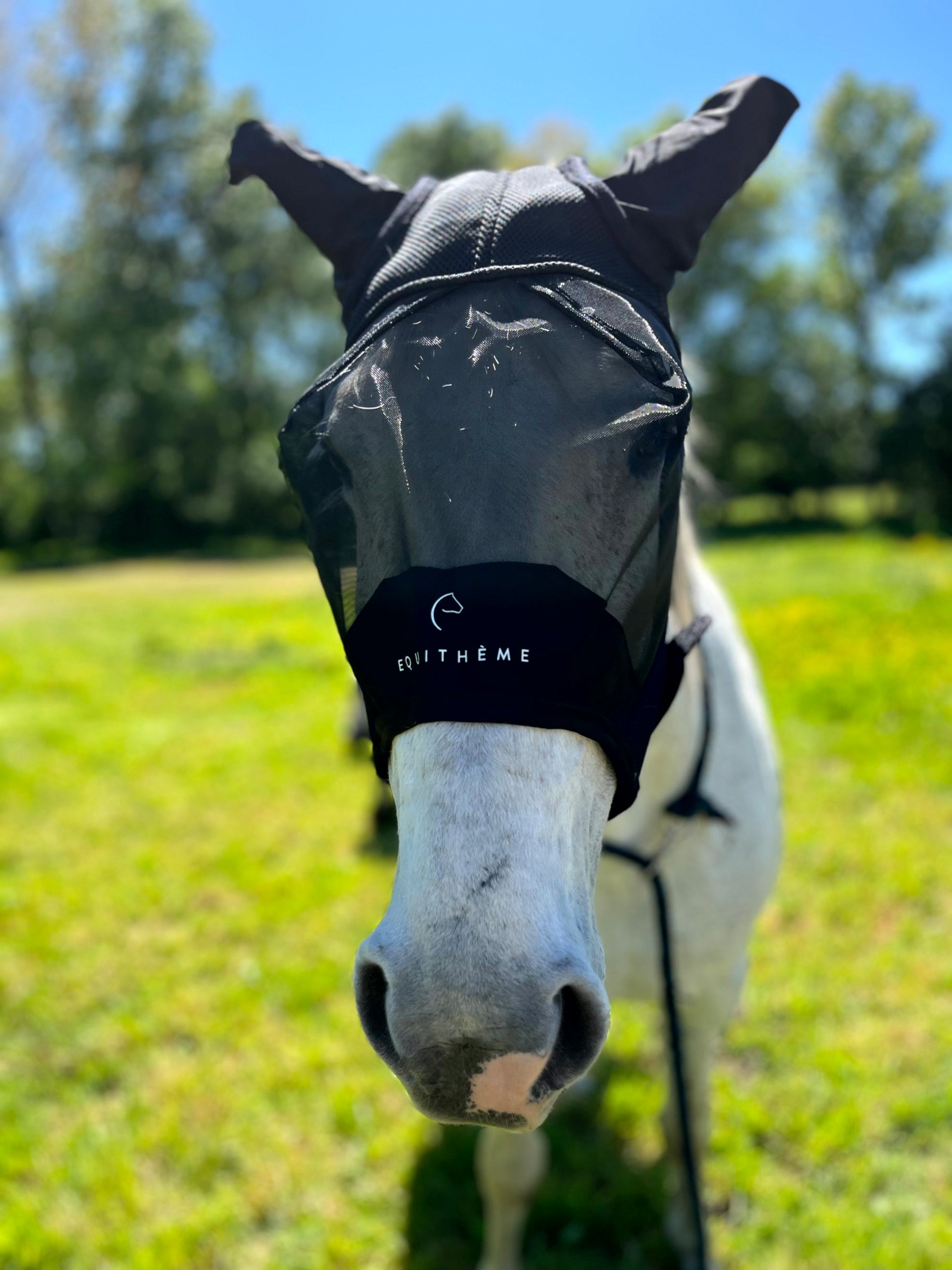 Masque anti-mouches anti-UV EQUITHÈME - Mesh