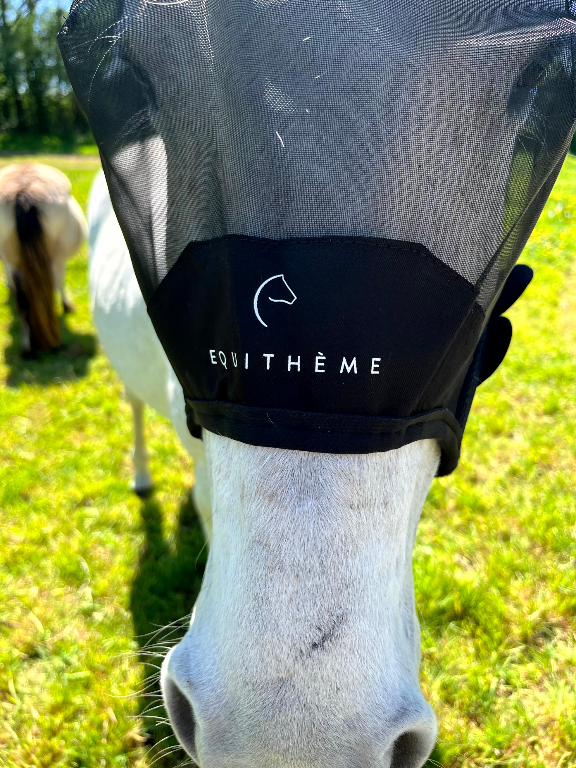 Masque anti-mouches anti-UV EQUITHÈME - Mesh