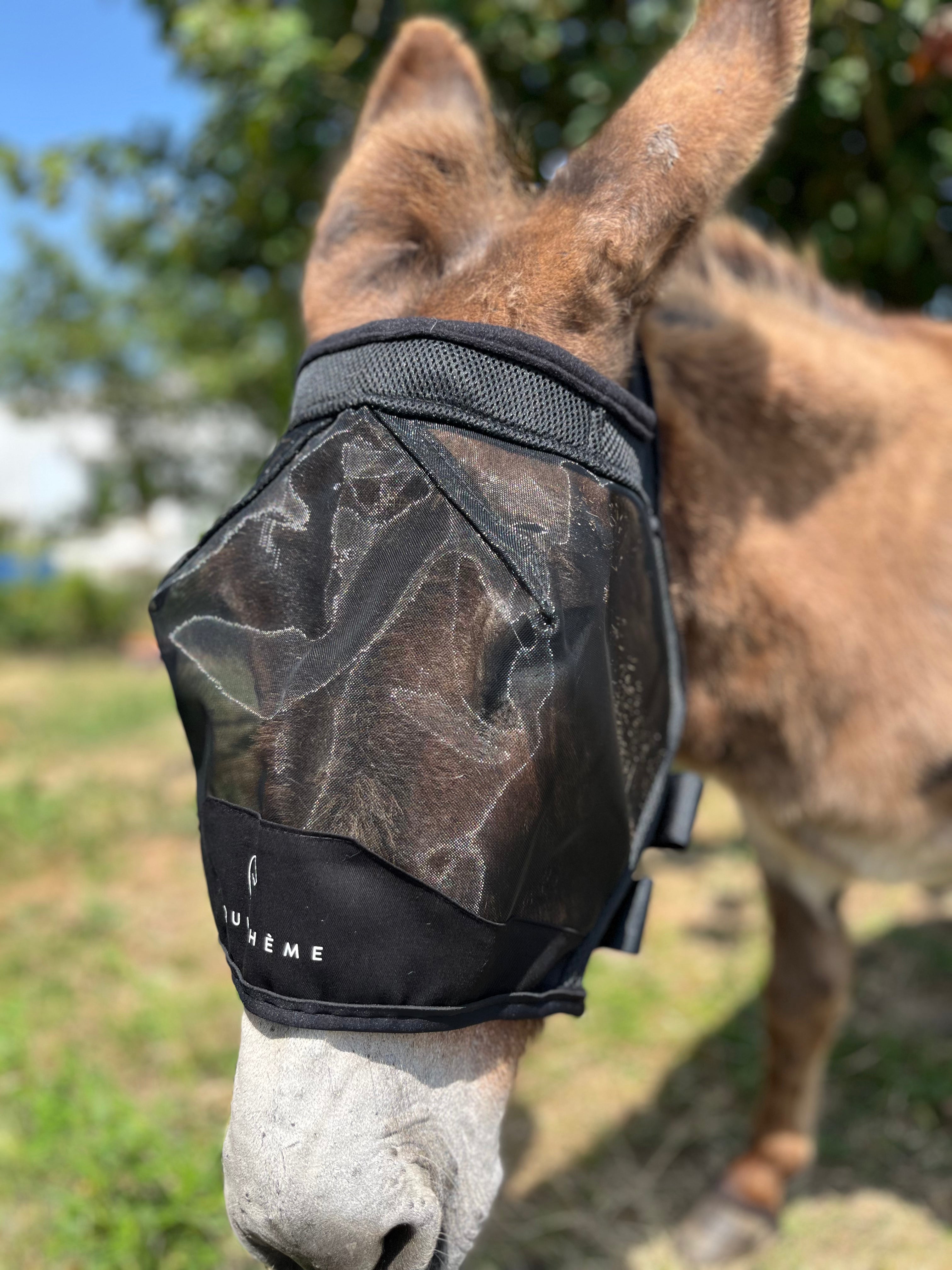 Masque anti-mouches anti-UV EQUITHÈME - Mesh sans oreilles pour âne
