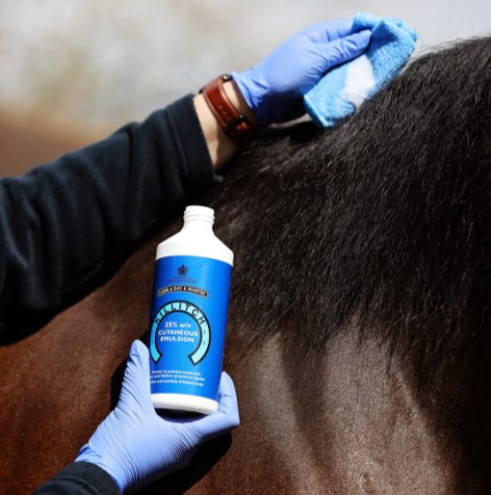 Killitch Lotion gegen Sommerdermatitis 500 ml – Carr & Day & Martin