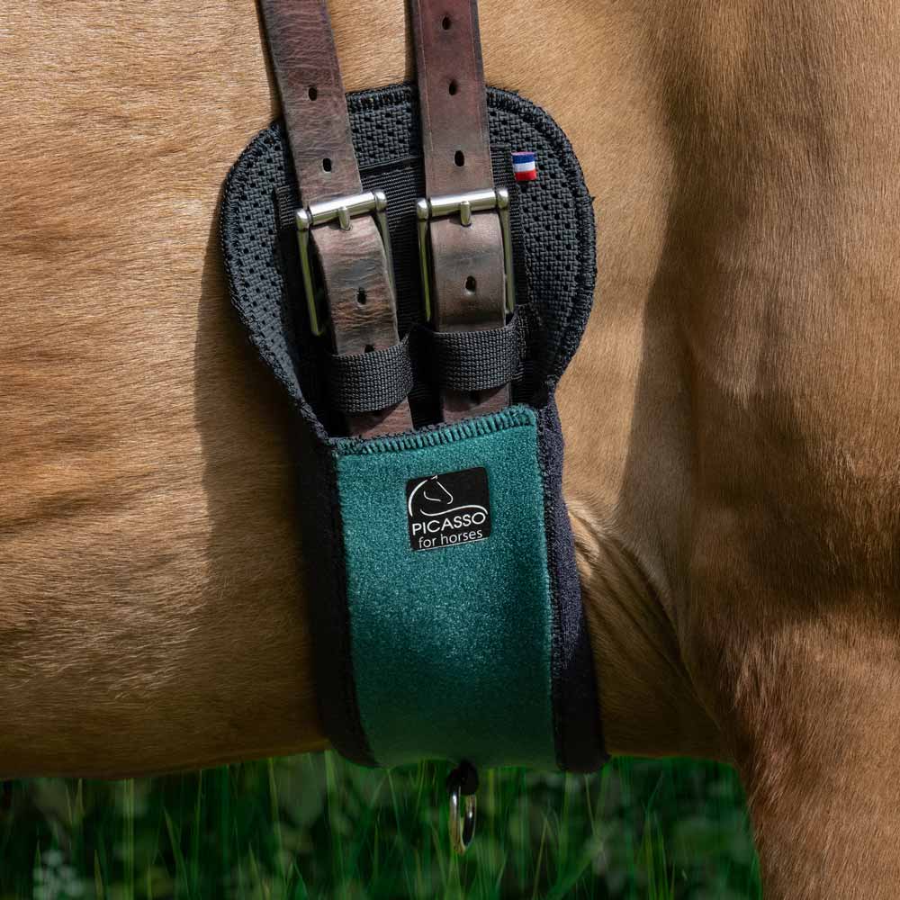 KALAH elastischer Kurzgurt - 35 bis 55 cm