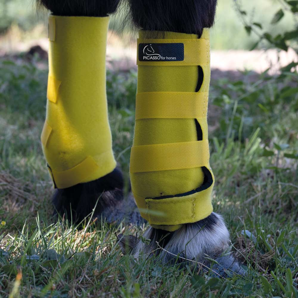 AMSSAH Pony-Arbeitsgamaschen