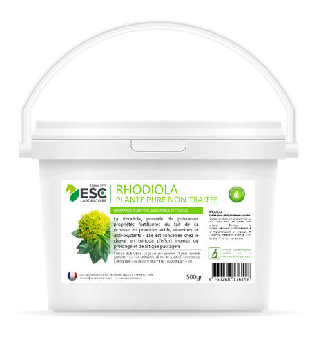 RHODIOLA 100% PUR – Résistance et fatigue cheval