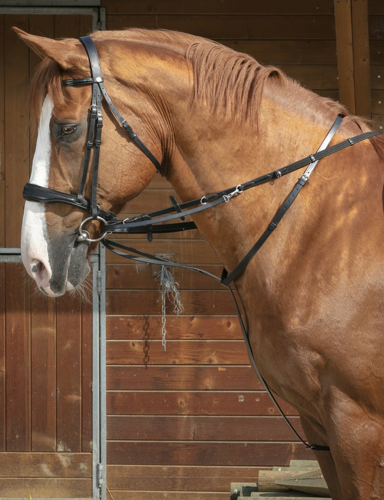 NORTON PRO-Schulung – Thiedeman