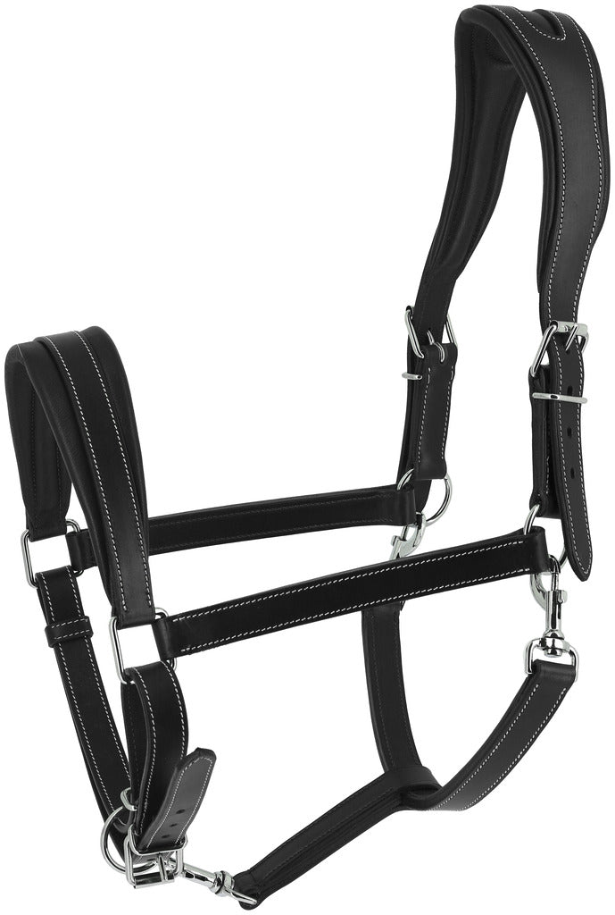 NORTON Halfter - Ardennen