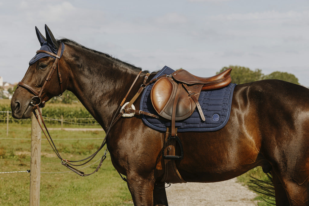 NORTON PRO Jagdhalsband - 5 Punkte