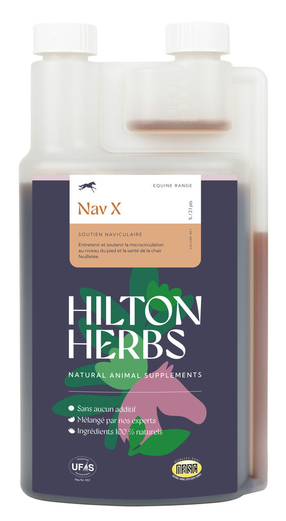 HILTON HERBS Ergänzungsnahrung - Nav X Liquid