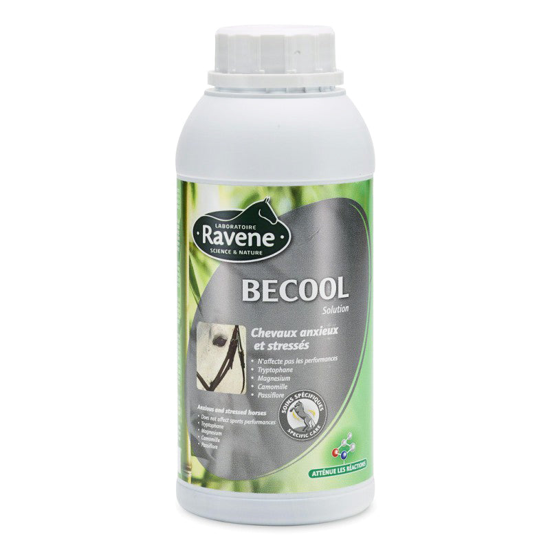 Becool