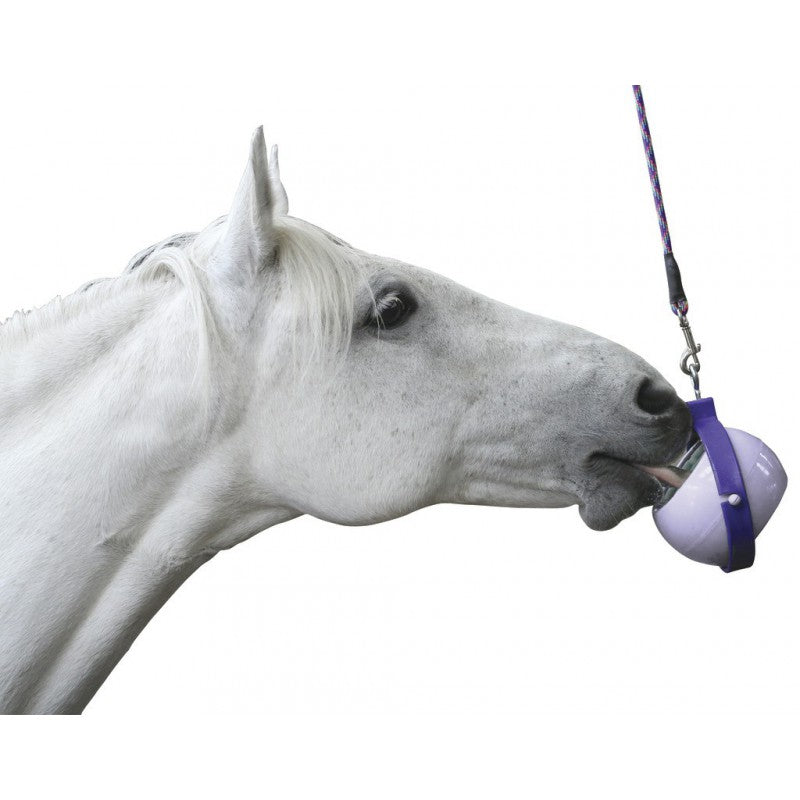 Langeweile-Killer Likit