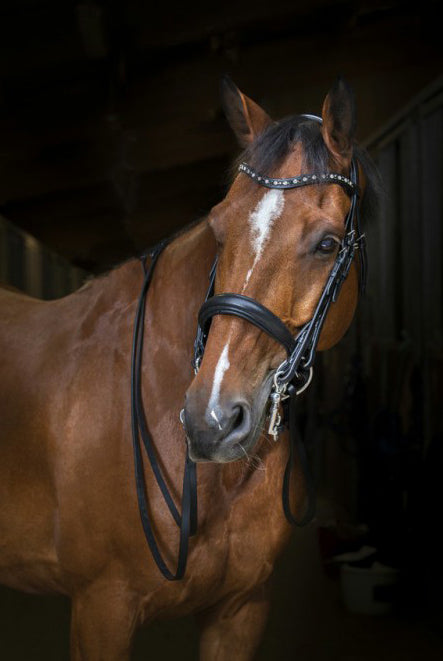 Bride Eric Thomas Hybrid