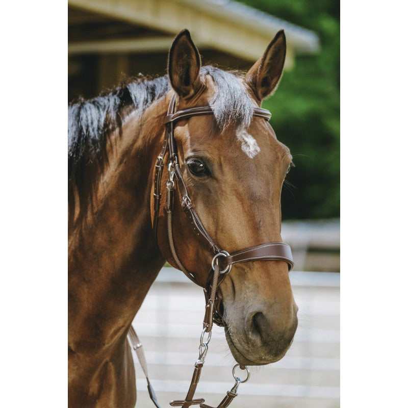 NORTON Gebissloses Zaumzeug