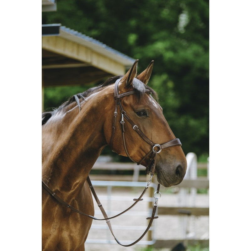 NORTON Gebissloses Zaumzeug