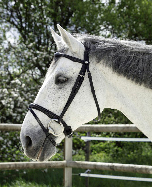 NORTON PRO Kombiniertes Zaumzeug