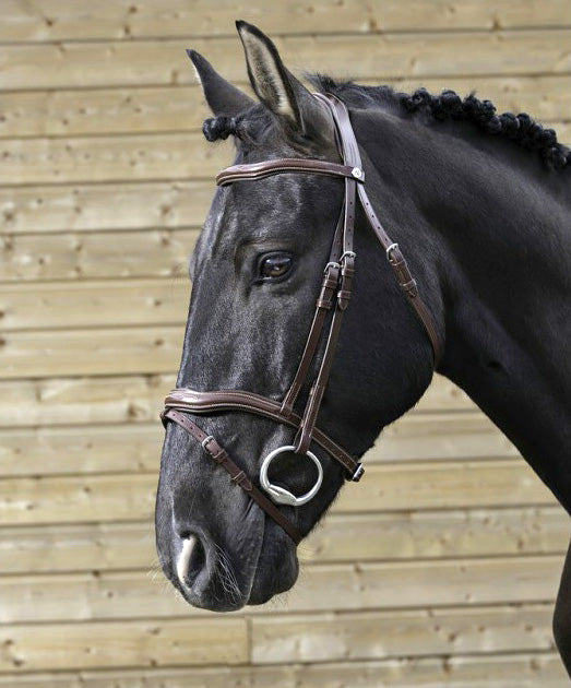 NORTON PRO Cut Trense