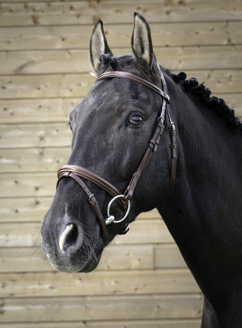 NORTON PRO Feines Zaumzeug