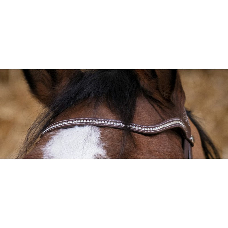 Norton Pro Miss Trense