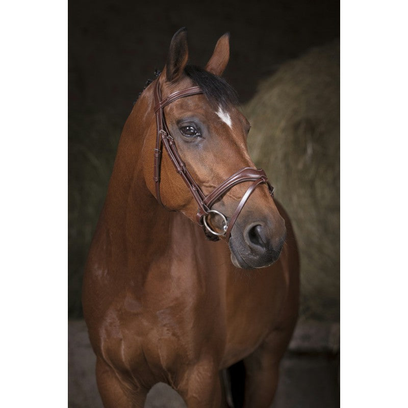 NORTON PRO Wave Trense