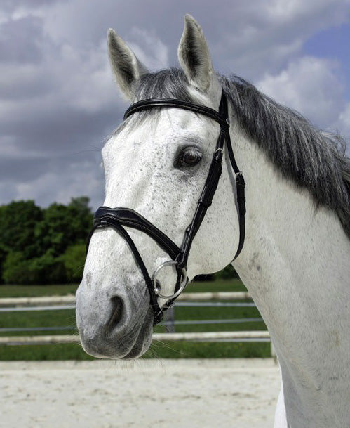 NORTON PRO Wave Trense