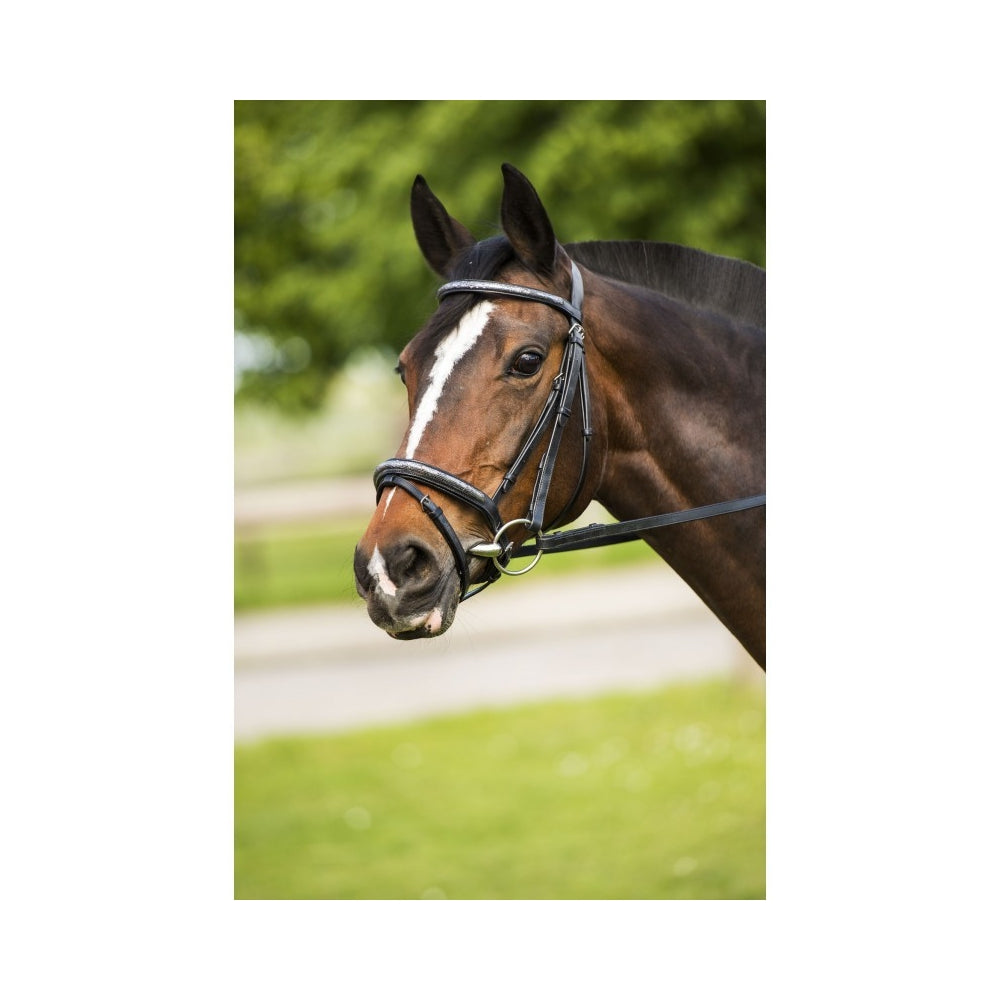 Bridon Riding World Paillettes – Muserolle combinée