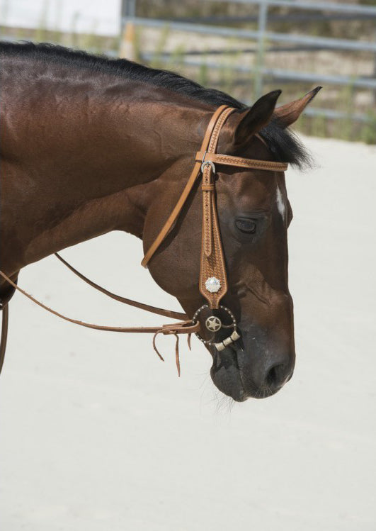 WESTRIDE-Zaumzeug von Franck Perret Aurora