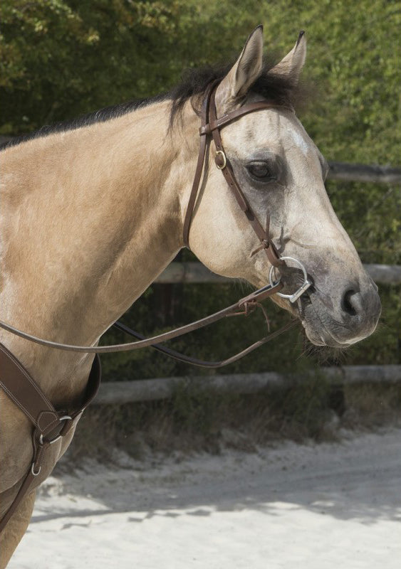 WESTRIDE Zaumzeug von Franck Perret Colorado