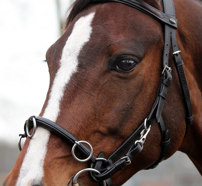 Horka Lederkappzaum