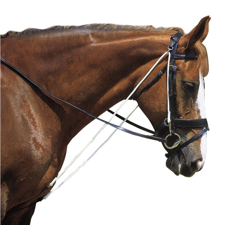 Chambon Norton Compound Club