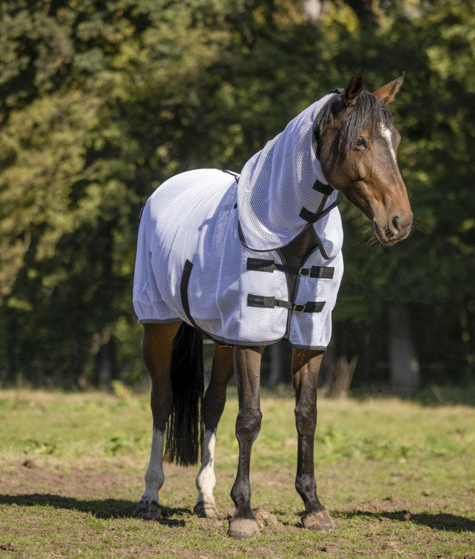 Equitheme 3D Mesh-Halsgamasche