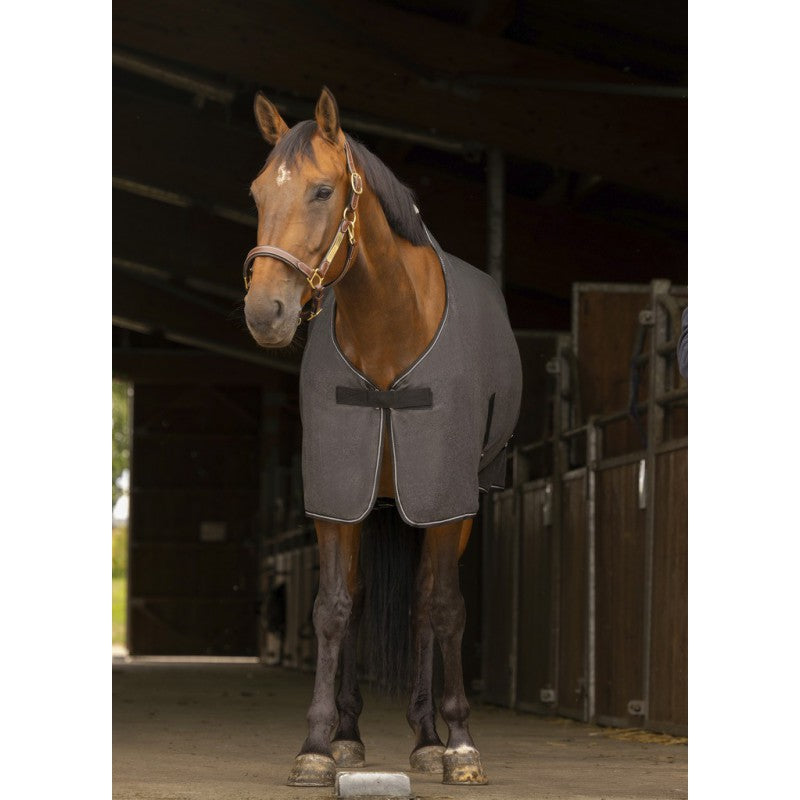 Equitheme Chiné Shirt