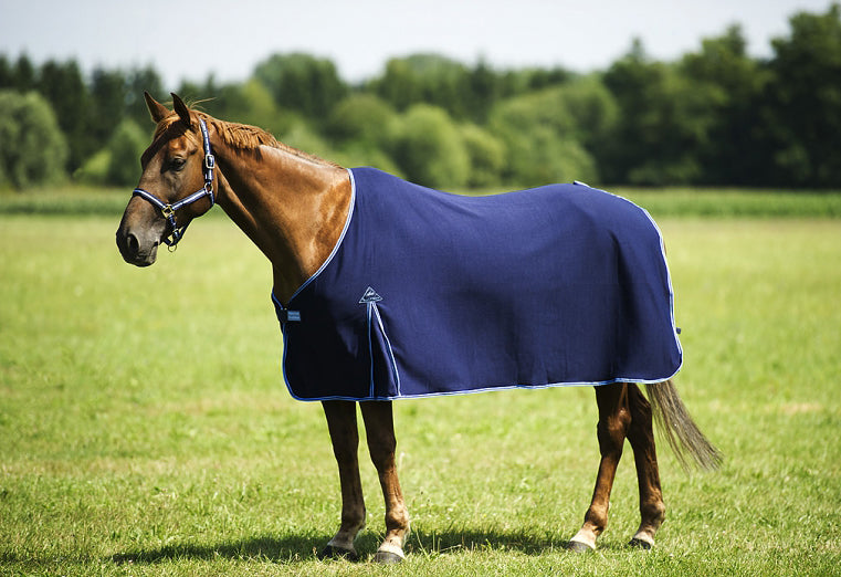 Chemise Equitheme Sweat séchante absorbante